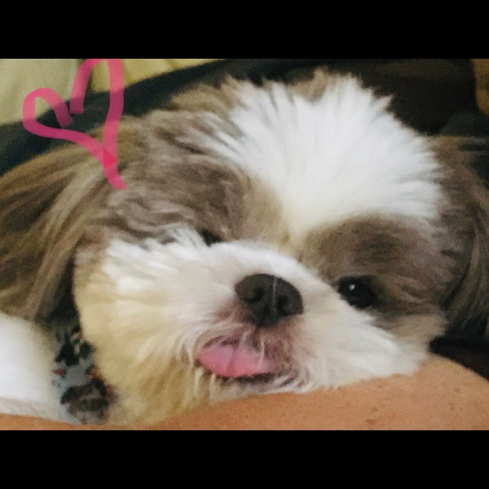 Meet your Posher, Jjanella